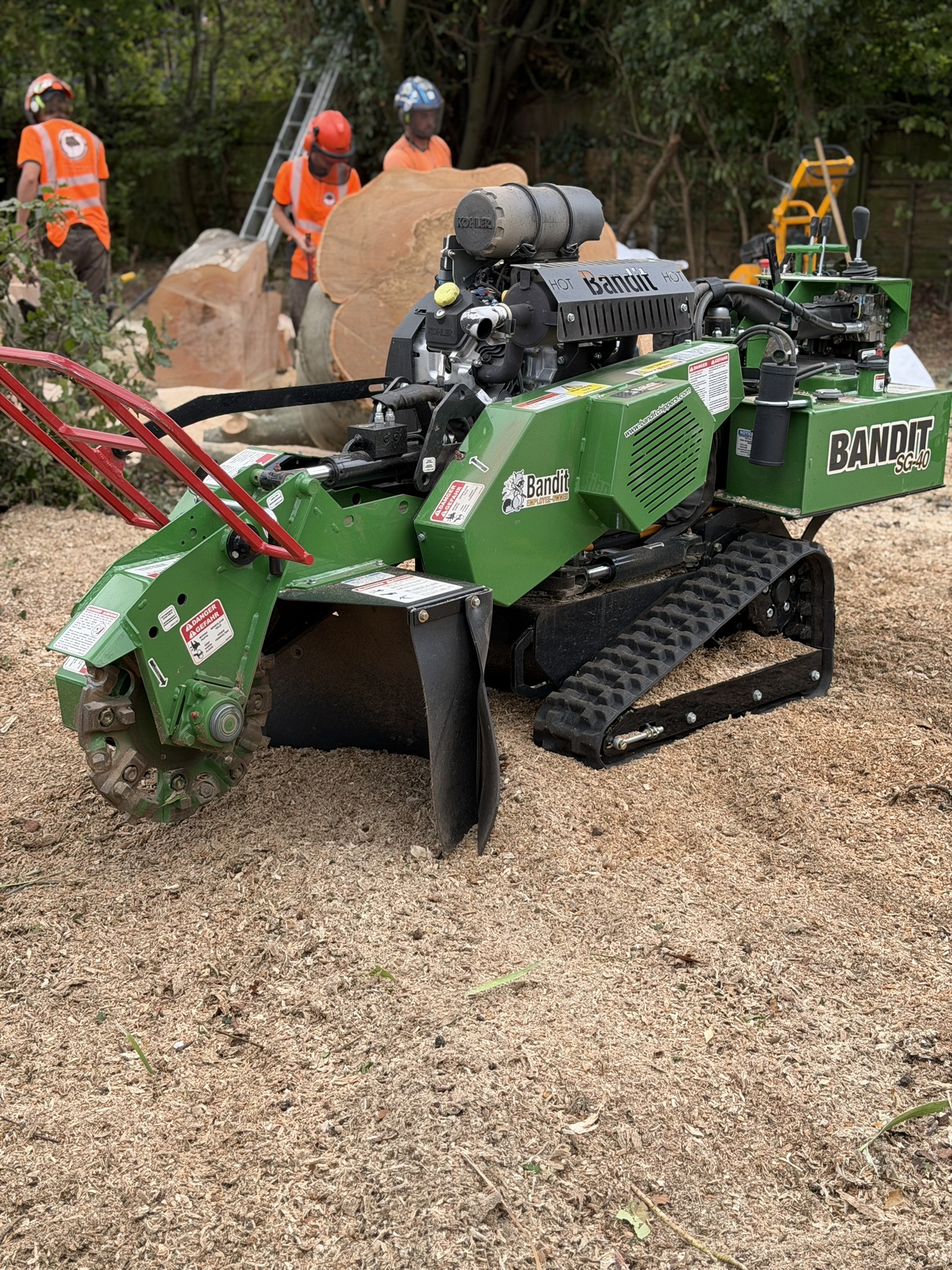 A green Bandit SG-40 tracked stump grinder on a deep bed of wood chippings, with a tree care team in hi-vis working on a felled beech trunk behind