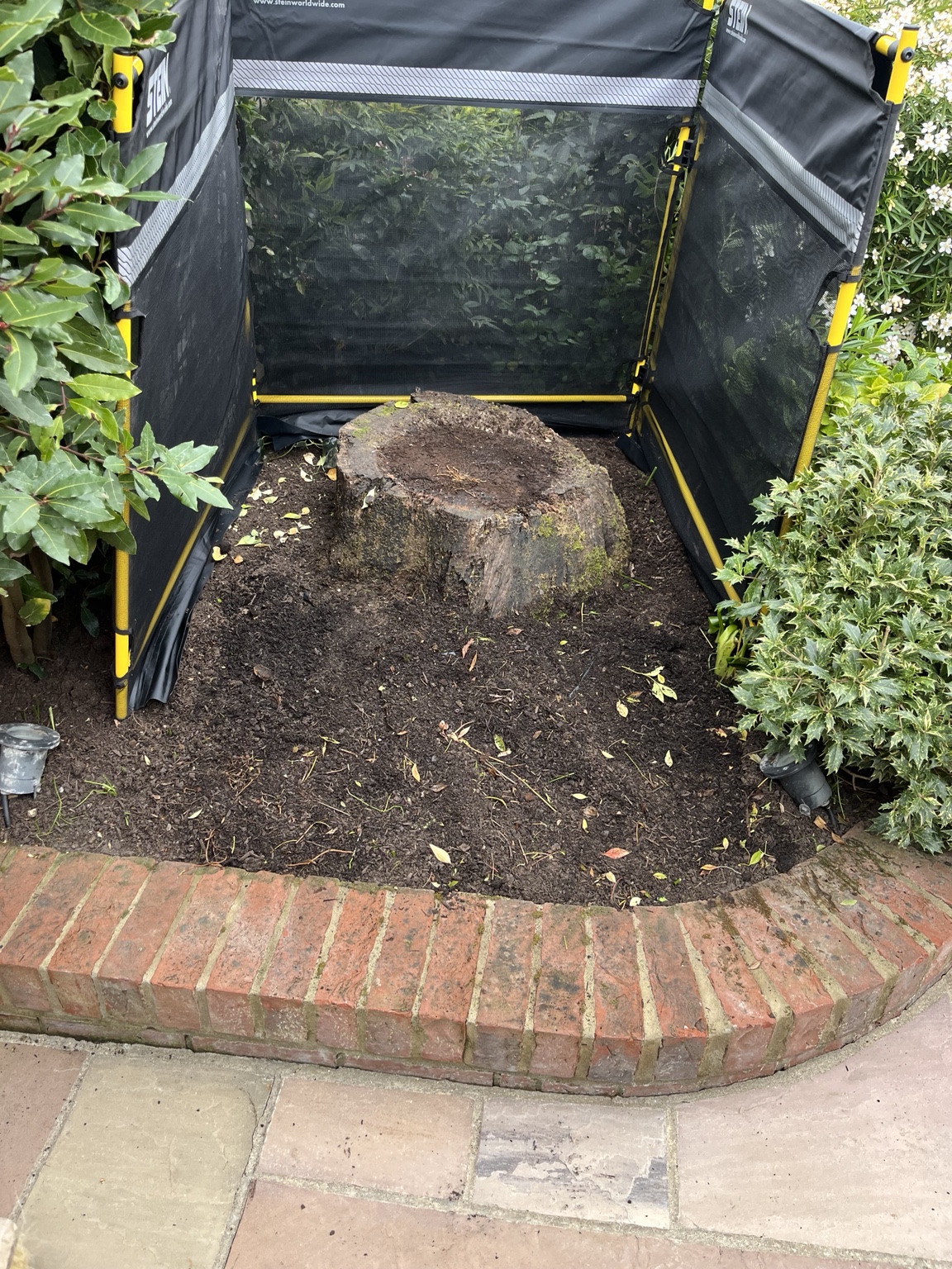 A large tree stump within an established planted bed in Bishop’s Stortford, ringed by a debris guard with brick edging and paving around it