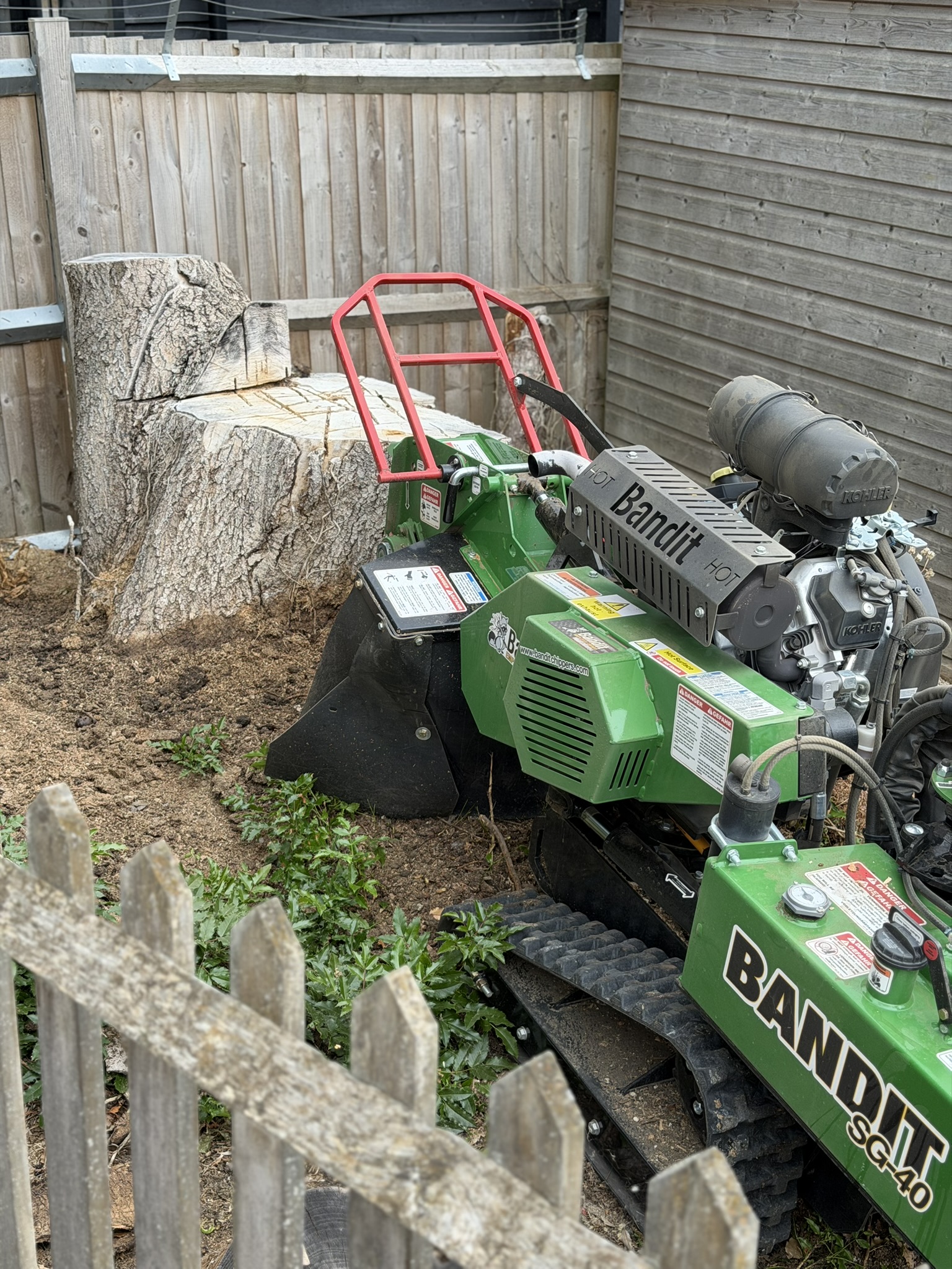 The large horse chestnut stump beside a green Bandit SG-40 tracked stump grinder in a fenced Brentwood garden