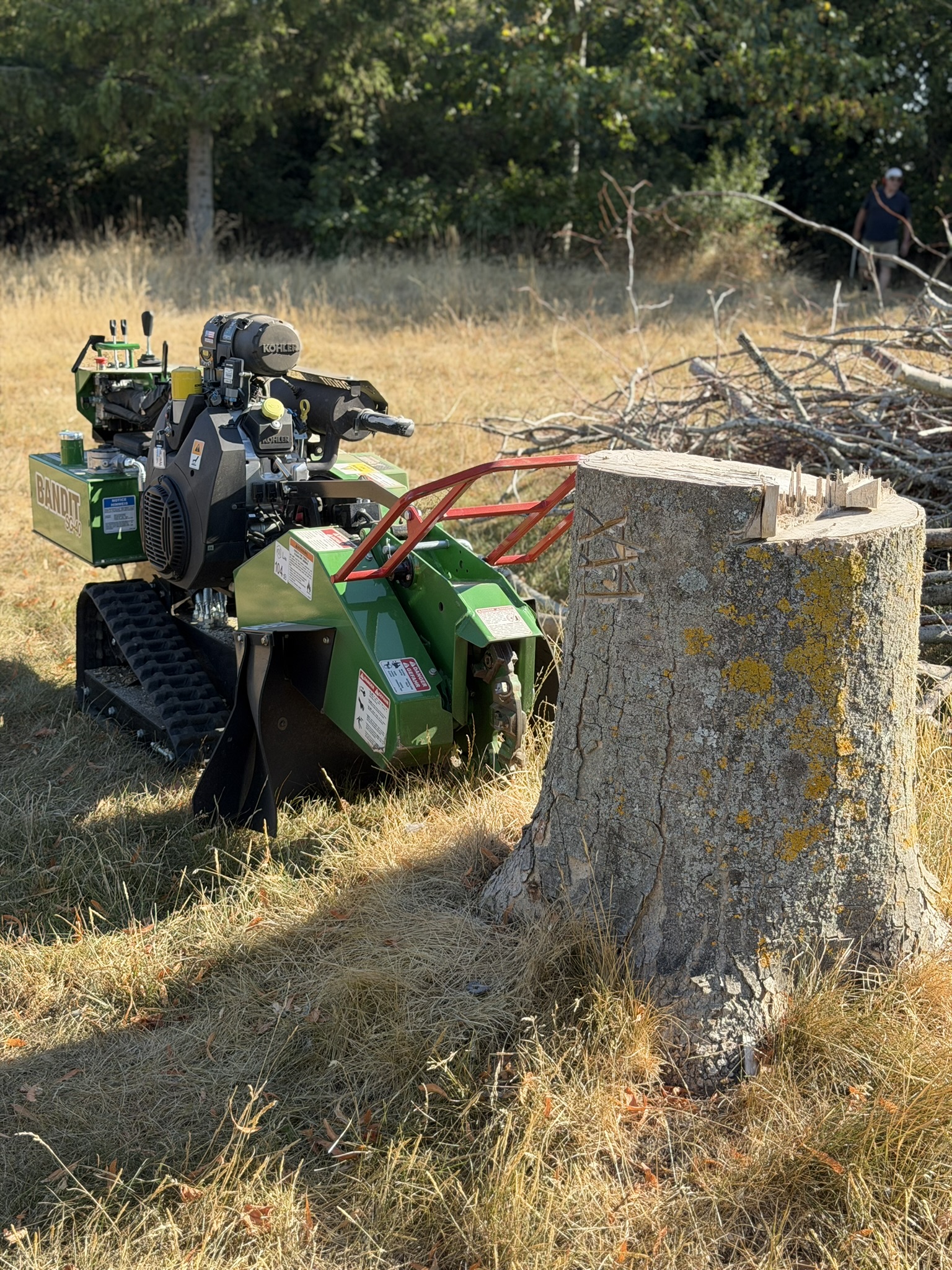 The Bandit SG-40 tracked stump grinder positioned alongside a large lichen-covered stump on the Chelmsford site